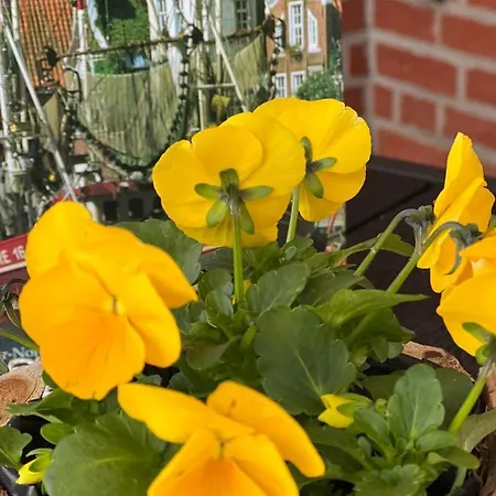 Antje Greetsiel Nordsee * Krummhörn